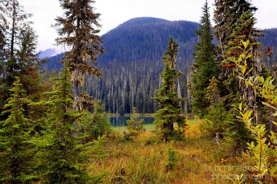 Joffre_Lakes_Provincial_Park_British_Columbia_nature_landscape_Canada_Usa_Photography_019_Canon_EOS_5D_Mark_IV.JPG