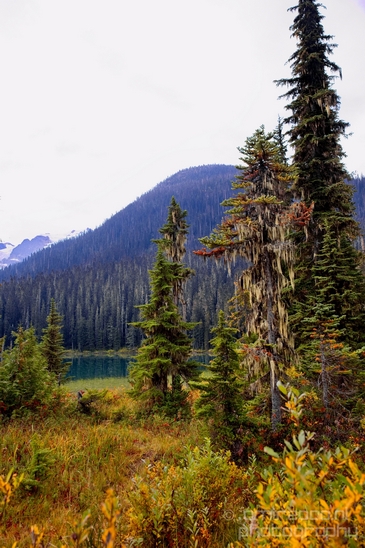 Joffre_Lakes_Provincial_Park_British_Columbia_nature_landscape_Canada_Usa_Photography_020_Canon_EOS_5D_Mark_IV.JPG