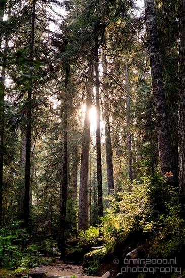 Joffre_Lakes_Provincial_Park_British_Columbia_nature_landscape_Canada_Usa_Photography_031_Canon_EOS_5D_Mark_IV.JPG