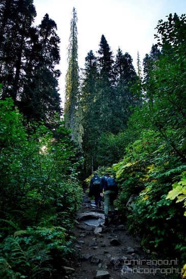 Joffre_Lakes_Provincial_Park_British_Columbia_nature_landscape_Canada_Usa_Photography_036_Canon_EOS_5D_Mark_IV.JPG