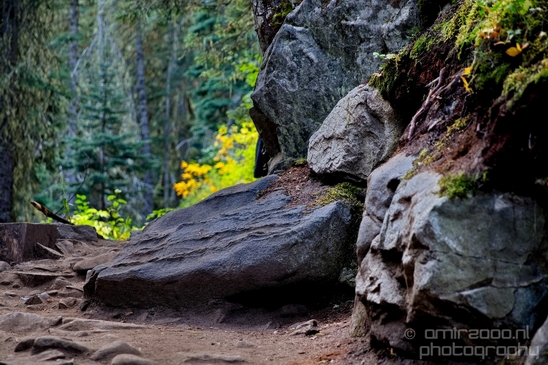 Joffre_Lakes_Provincial_Park_British_Columbia_nature_landscape_Canada_Usa_Photography_037_Canon_EOS_5D_Mark_IV.JPG