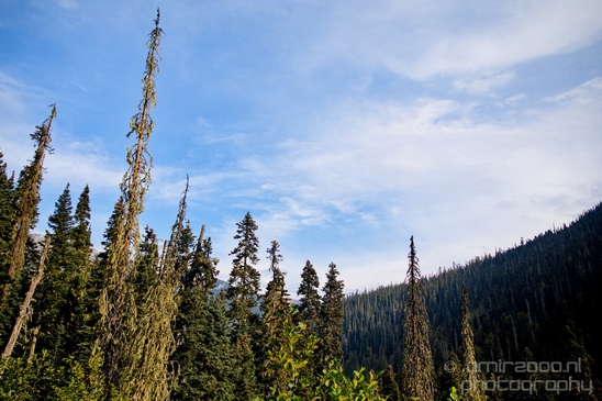 Joffre_Lakes_Provincial_Park_British_Columbia_nature_landscape_Canada_Usa_Photography_038_Canon_EOS_5D_Mark_IV.JPG