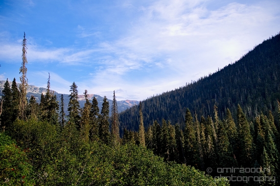 Joffre_Lakes_Provincial_Park_British_Columbia_nature_landscape_Canada_Usa_Photography_042_Canon_EOS_5D_Mark_IV.JPG