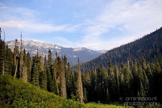 Joffre_Lakes_Provincial_Park_British_Columbia_nature_landscape_Canada_Usa_Photography_043_Canon_EOS_5D_Mark_IV.JPG