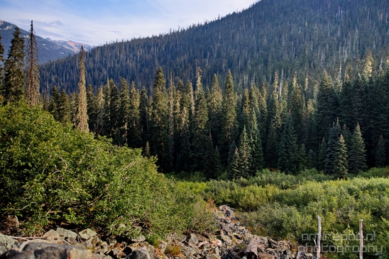 Joffre_Lakes_Provincial_Park_British_Columbia_nature_landscape_Canada_Usa_Photography_044_Canon_EOS_5D_Mark_IV.JPG
