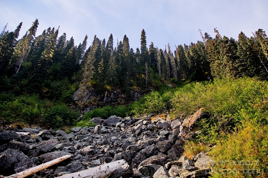 Joffre_Lakes_Provincial_Park_British_Columbia_nature_landscape_Canada_Usa_Photography_045_Canon_EOS_5D_Mark_IV.JPG