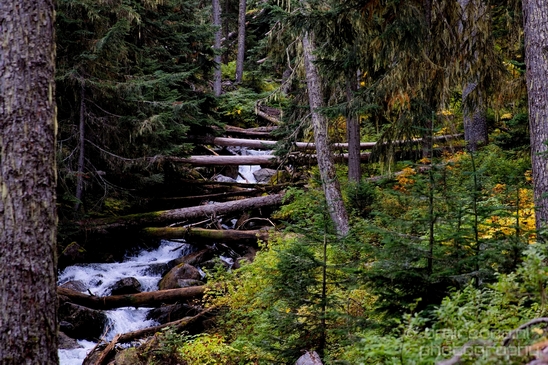 Joffre_Lakes_Provincial_Park_British_Columbia_nature_landscape_Canada_Usa_Photography_049_Canon_EOS_5D_Mark_IV.JPG