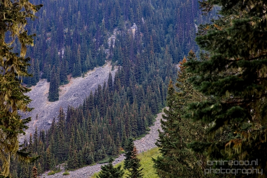 Joffre_Lakes_Provincial_Park_British_Columbia_nature_landscape_Canada_Usa_Photography_050_Canon_EOS_5D_Mark_IV.JPG