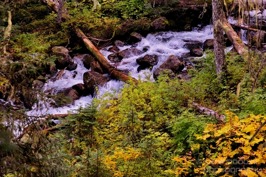 Joffre_Lakes_Provincial_Park_British_Columbia_nature_landscape_Canada_Usa_Photography_051_Canon_EOS_5D_Mark_IV.JPG