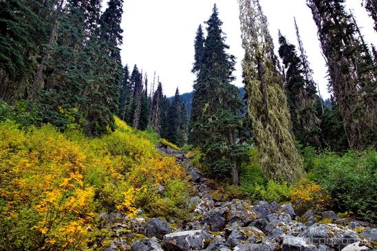 Joffre_Lakes_Provincial_Park_British_Columbia_nature_landscape_Canada_Usa_Photography_053_Canon_EOS_5D_Mark_IV.JPG