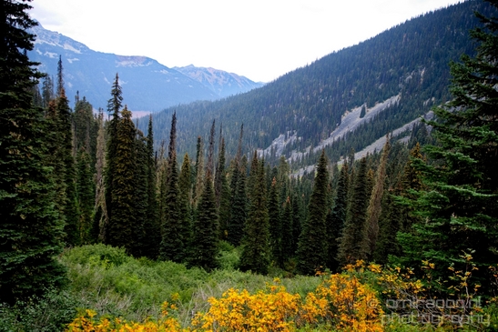 Joffre_Lakes_Provincial_Park_British_Columbia_nature_landscape_Canada_Usa_Photography_055_Canon_EOS_5D_Mark_IV.JPG