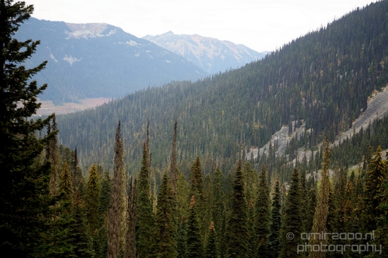 Joffre_Lakes_Provincial_Park_British_Columbia_nature_landscape_Canada_Usa_Photography_056_Canon_EOS_5D_Mark_IV.JPG