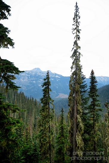 Joffre_Lakes_Provincial_Park_British_Columbia_nature_landscape_Canada_Usa_Photography_057_Canon_EOS_5D_Mark_IV.JPG