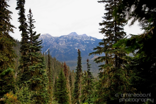 Joffre_Lakes_Provincial_Park_British_Columbia_nature_landscape_Canada_Usa_Photography_058_Canon_EOS_5D_Mark_IV.JPG