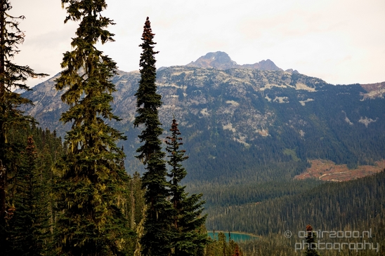 Joffre_Lakes_Provincial_Park_British_Columbia_nature_landscape_Canada_Usa_Photography_059_Canon_EOS_5D_Mark_IV.JPG