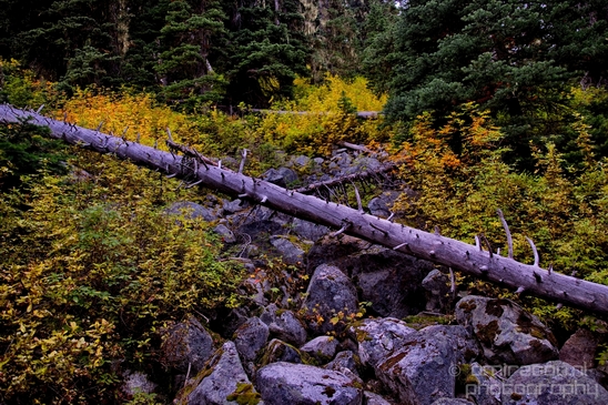 Joffre_Lakes_Provincial_Park_British_Columbia_nature_landscape_Canada_Usa_Photography_061_Canon_EOS_5D_Mark_IV.JPG