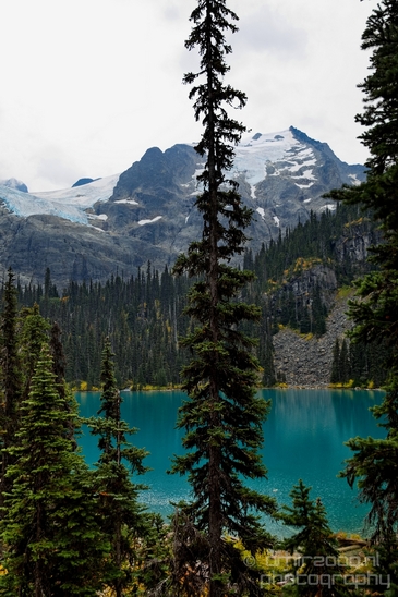 Joffre_Lakes_Provincial_Park_British_Columbia_nature_landscape_Canada_Usa_Photography_064_Canon_EOS_5D_Mark_IV.JPG