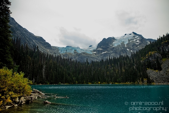 Joffre_Lakes_Provincial_Park_British_Columbia_nature_landscape_Canada_Usa_Photography_073_Canon_EOS_5D_Mark_IV.JPG