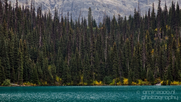 Joffre_Lakes_Provincial_Park_British_Columbia_nature_landscape_Canada_Usa_Photography_078_Canon_EOS_5D_Mark_IV.JPG
