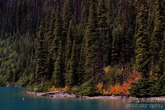 Joffre_Lakes_Provincial_Park_British_Columbia_nature_landscape_Canada_Usa_Photography_080_Canon_EOS_5D_Mark_IV.JPG
