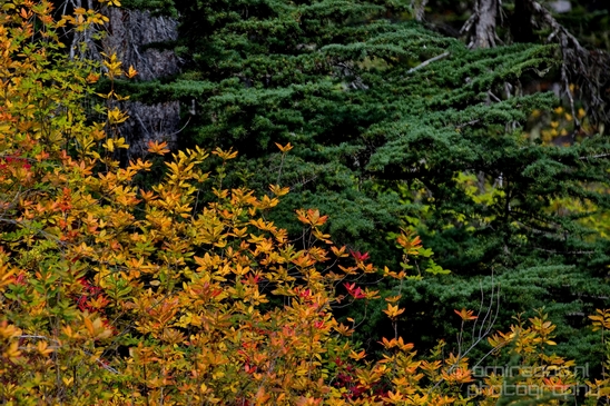 Joffre_Lakes_Provincial_Park_British_Columbia_nature_landscape_Canada_Usa_Photography_087_Canon_EOS_5D_Mark_IV.JPG