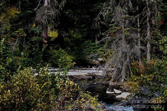 Joffre_Lakes_Provincial_Park_British_Columbia_nature_landscape_Canada_Usa_Photography_088_Canon_EOS_5D_Mark_IV.JPG