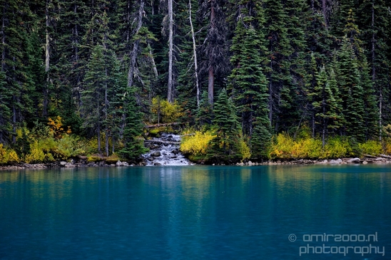 Joffre_Lakes_Provincial_Park_British_Columbia_nature_landscape_Canada_Usa_Photography_090_Canon_EOS_5D_Mark_IV.JPG