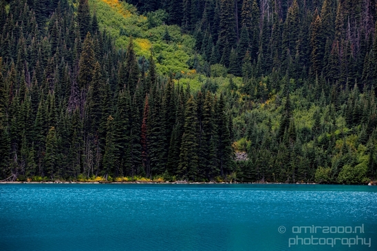 Joffre_Lakes_Provincial_Park_British_Columbia_nature_landscape_Canada_Usa_Photography_091_Canon_EOS_5D_Mark_IV.JPG