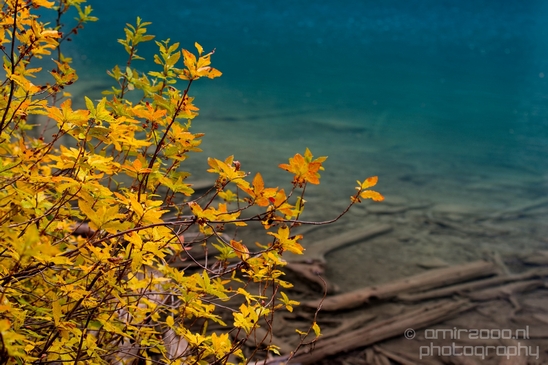 Joffre_Lakes_Provincial_Park_British_Columbia_nature_landscape_Canada_Usa_Photography_096_Canon_EOS_5D_Mark_IV.JPG