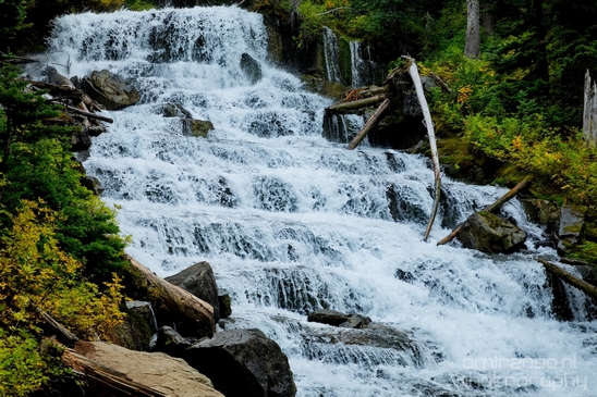 Joffre_Lakes_Provincial_Park_British_Columbia_nature_landscape_Canada_Usa_Photography_101_Canon_EOS_5D_Mark_IV.JPG