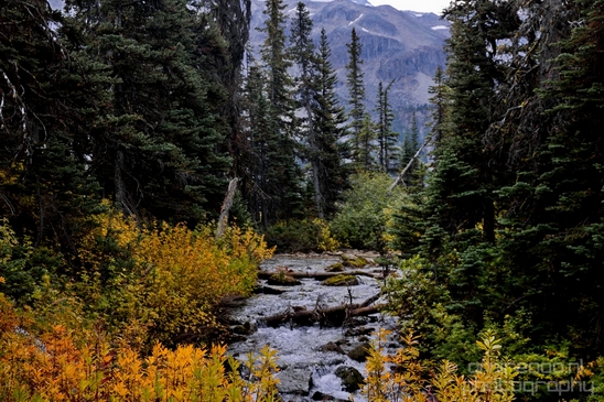 Joffre_Lakes_Provincial_Park_British_Columbia_nature_landscape_Canada_Usa_Photography_110_Canon_EOS_5D_Mark_IV.JPG