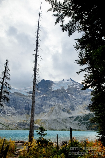 Joffre_Lakes_Provincial_Park_British_Columbia_nature_landscape_Canada_Usa_Photography_111_Canon_EOS_5D_Mark_IV.JPG