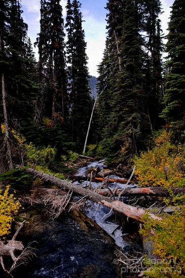 Joffre_Lakes_Provincial_Park_British_Columbia_nature_landscape_Canada_Usa_Photography_112_Canon_EOS_5D_Mark_IV.JPG