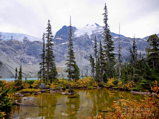 Joffre_Lakes_Provincial_Park_British_Columbia_nature_landscape_Canada_Usa_Photography_115_Canon_EOS_5D_Mark_IV.JPG