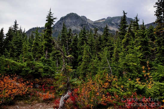 Joffre_Lakes_Provincial_Park_British_Columbia_nature_landscape_Canada_Usa_Photography_117_Canon_EOS_5D_Mark_IV.JPG