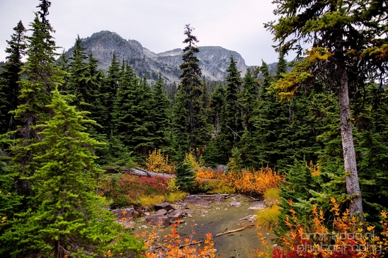 Joffre_Lakes_Provincial_Park_British_Columbia_nature_landscape_Canada_Usa_Photography_118_Canon_EOS_5D_Mark_IV.JPG