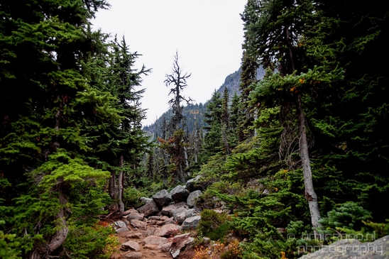 Joffre_Lakes_Provincial_Park_British_Columbia_nature_landscape_Canada_Usa_Photography_119_Canon_EOS_5D_Mark_IV.JPG