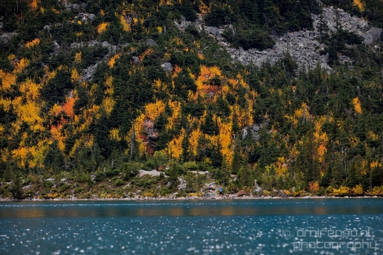 Joffre_Lakes_Provincial_Park_British_Columbia_nature_landscape_Canada_Usa_Photography_134_Canon_EOS_5D_Mark_IV.JPG
