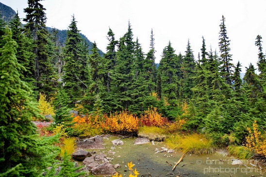 Joffre_Lakes_Provincial_Park_British_Columbia_nature_landscape_Canada_Usa_Photography_150_Canon_EOS_5D_Mark_IV.JPG