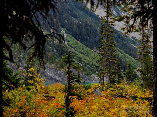 Joffre_Lakes_Provincial_Park_British_Columbia_nature_landscape_Canada_Usa_Photography_153_Canon_EOS_5D_Mark_IV.JPG