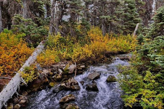 Joffre_Lakes_Provincial_Park_British_Columbia_nature_landscape_Canada_Usa_Photography_156_Canon_EOS_5D_Mark_IV.JPG