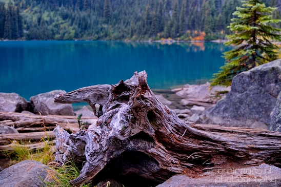 Joffre_Lakes_Provincial_Park_British_Columbia_nature_landscape_Canada_Usa_Photography_161_Canon_EOS_5D_Mark_IV.JPG