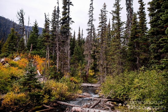 Joffre_Lakes_Provincial_Park_British_Columbia_nature_landscape_Canada_Usa_Photography_172_Canon_EOS_5D_Mark_IV.JPG