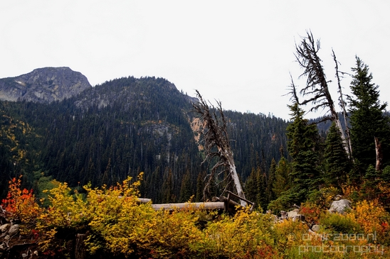 Joffre_Lakes_Provincial_Park_British_Columbia_nature_landscape_Canada_Usa_Photography_173_Canon_EOS_5D_Mark_IV.JPG
