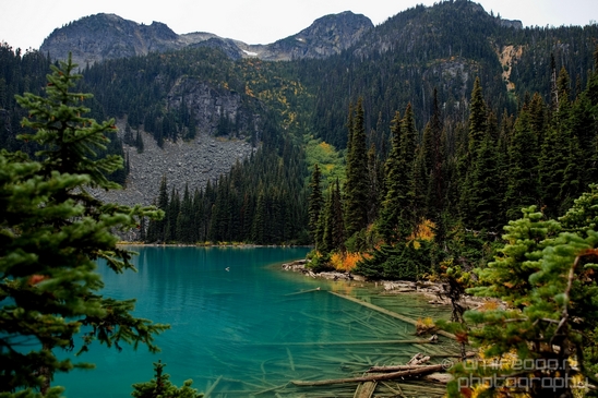 Joffre_Lakes_Provincial_Park_British_Columbia_nature_landscape_Canada_Usa_Photography_175_Canon_EOS_5D_Mark_IV.JPG