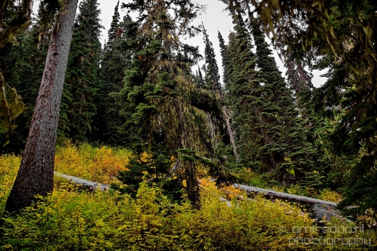 Joffre_Lakes_Provincial_Park_British_Columbia_nature_landscape_Canada_Usa_Photography_176_Canon_EOS_5D_Mark_IV.JPG
