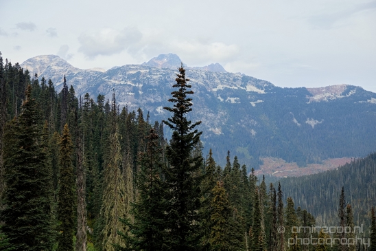 Joffre_Lakes_Provincial_Park_British_Columbia_nature_landscape_Canada_Usa_Photography_180_Canon_EOS_5D_Mark_IV.JPG