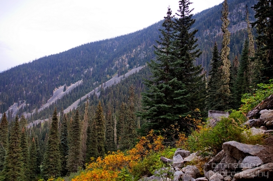 Joffre_Lakes_Provincial_Park_British_Columbia_nature_landscape_Canada_Usa_Photography_182_Canon_EOS_5D_Mark_IV.JPG