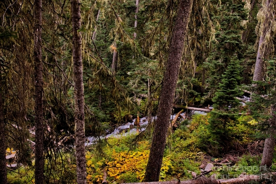 Joffre_Lakes_Provincial_Park_British_Columbia_nature_landscape_Canada_Usa_Photography_184_Canon_EOS_5D_Mark_IV.JPG