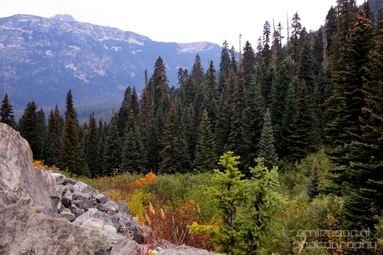Joffre_Lakes_Provincial_Park_British_Columbia_nature_landscape_Canada_Usa_Photography_187_Canon_EOS_5D_Mark_IV.JPG